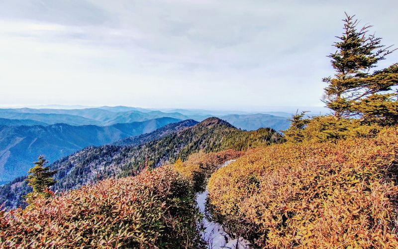 Alum Cave Trail, Great Smoky Mountains National Park, Tennessee