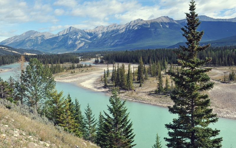 Athabasca River alberta