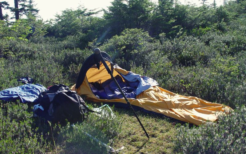 Bivy bag pitched in a green area