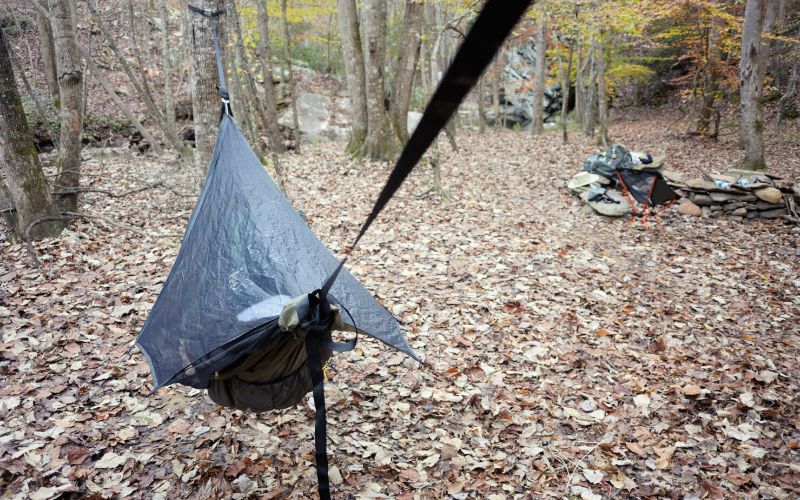 Hammock hung between two trees under tarp