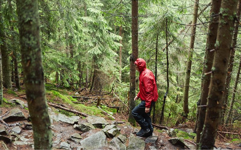 Hiker walking through forest in the rain