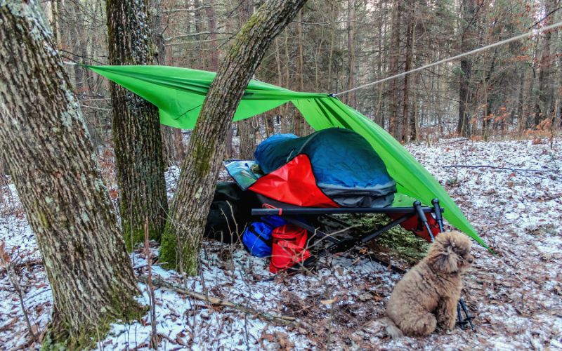 Tarp pitched over a camping cot