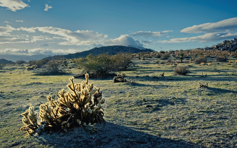 anza-borrego state park southern california