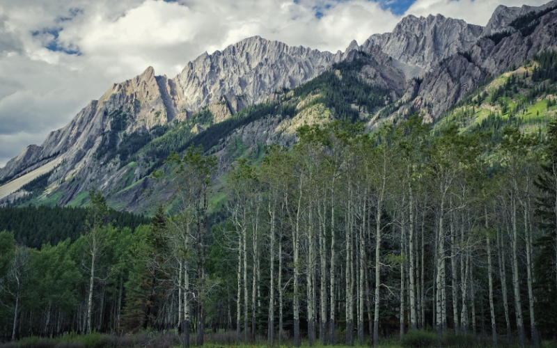 bow valley parkway banff