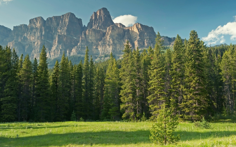 castle mountain banff