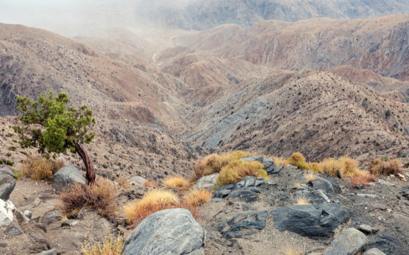 coachella valley southern california