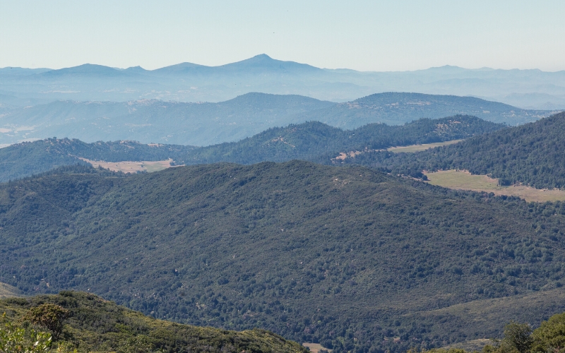 palomar mountain state park southern california