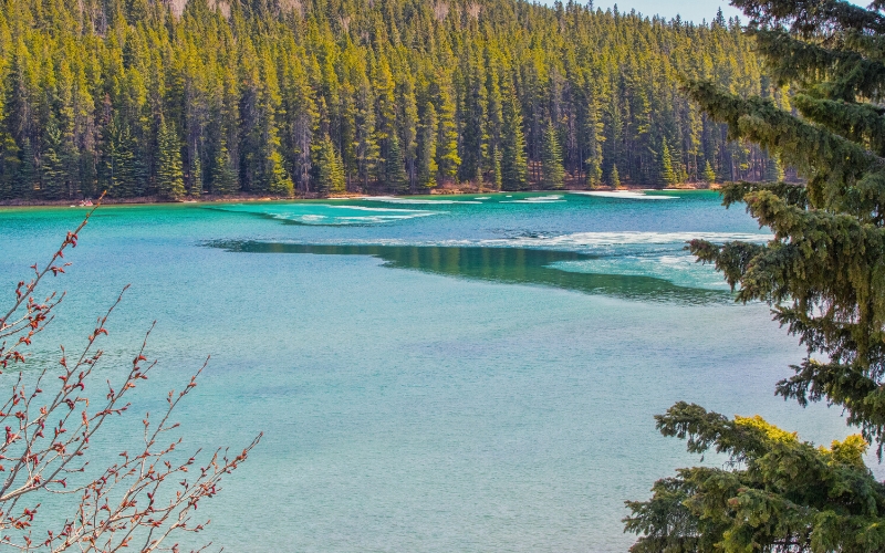 twin jack lake banff
