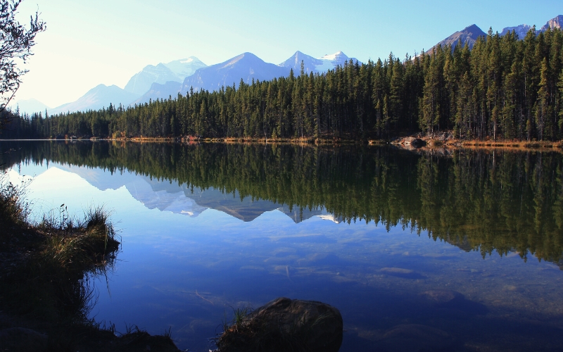waterfowl lakes banff