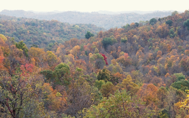 wayne national forest ohio