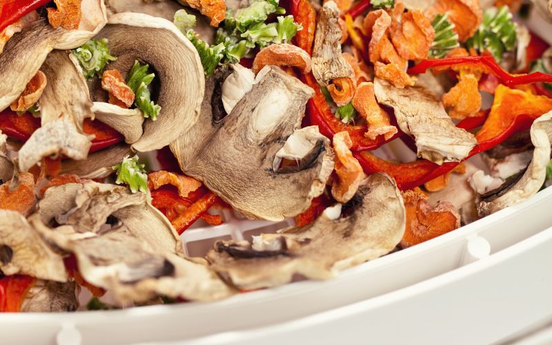 Assorted veg in dehydrator tray