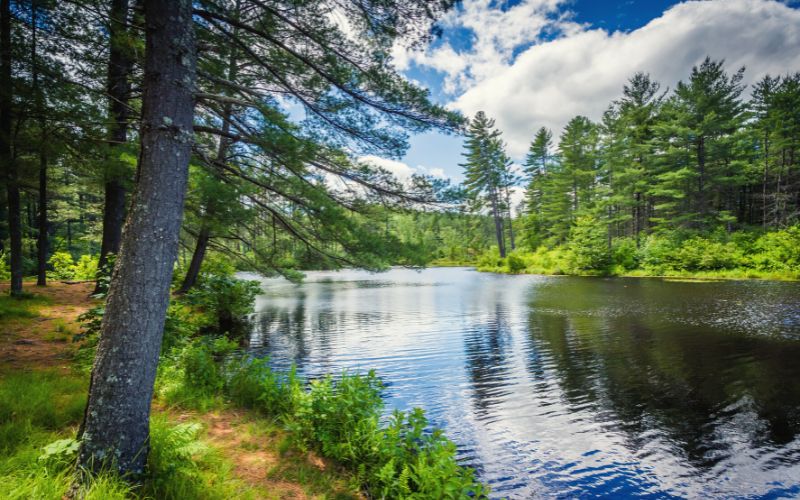 Bear Brook State Park, NH