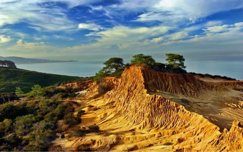 Broken Hill Trail Loop, Torrey Pines State Park