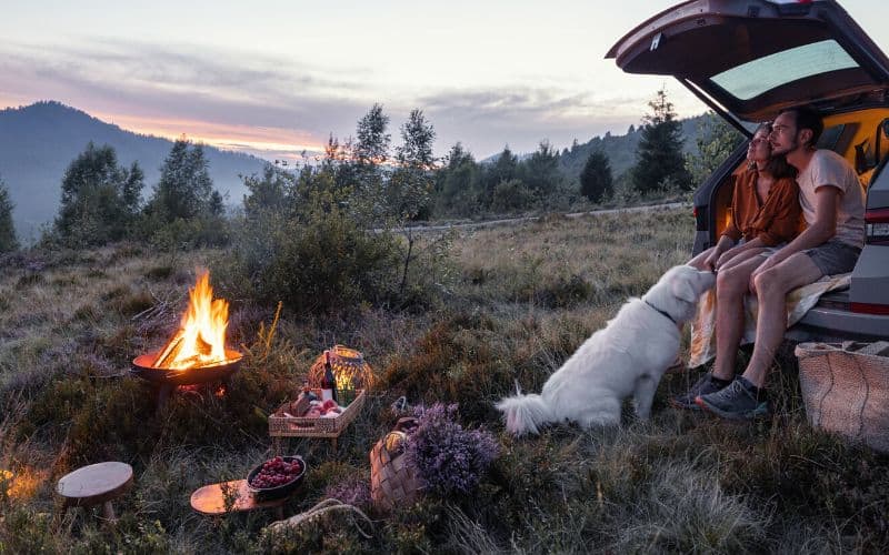 Campers looking at the sky in front of campfire and picnic