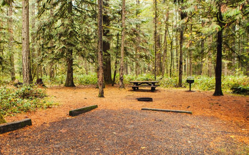 Campsite spot with picnic table and BBQ pit