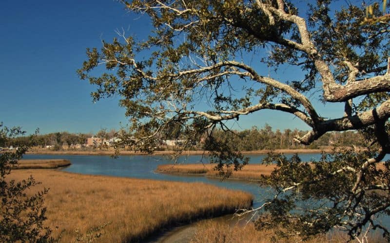 Davis Bayou Area/Gulf Islands National Seashore