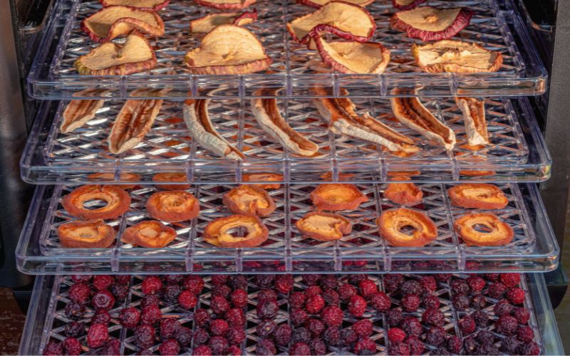 Dehydrated fruit inside trays of a dehydrator