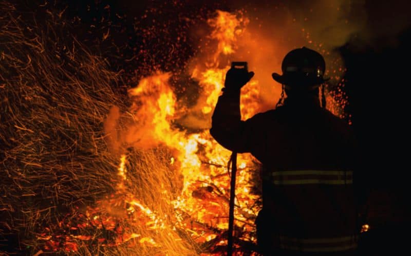 Firefighter putting out forest wildfire