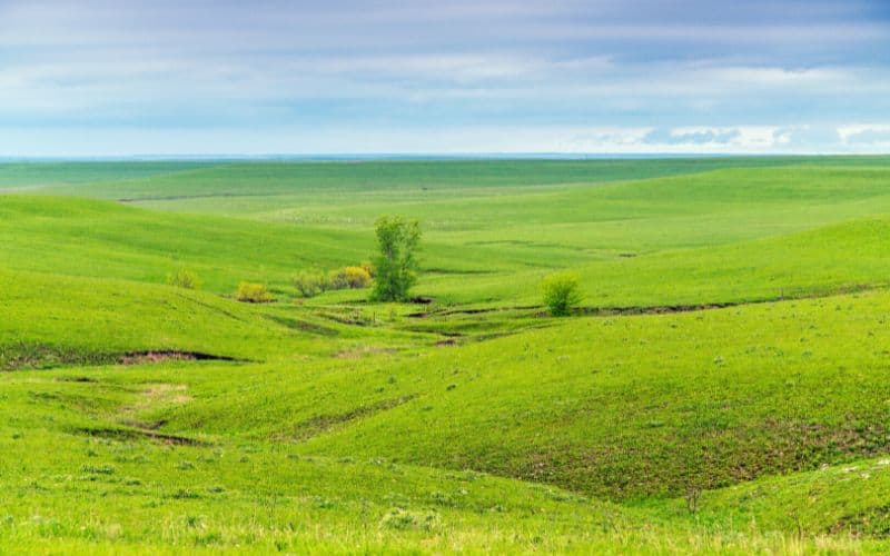 Flint Hills Nature Trail, Kansas