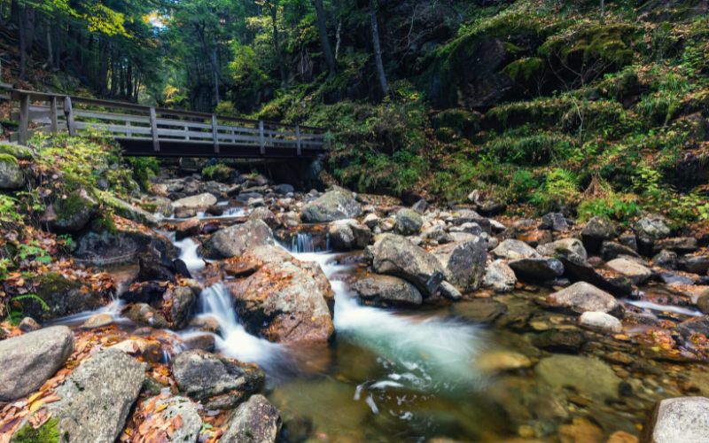 Franconia Notch State Park, NH