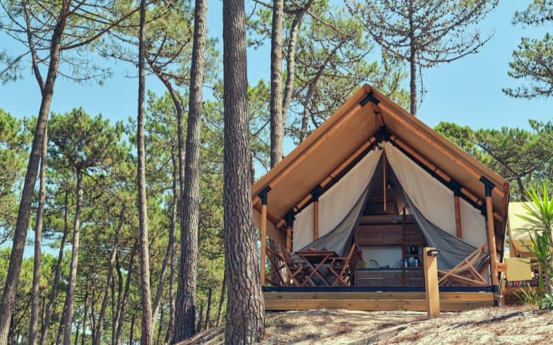 Glamping tent in the forest