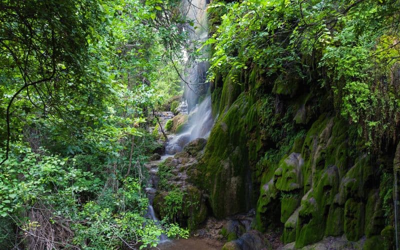 Gorman Falls Trail, Colorado Bend State Park, Texas
