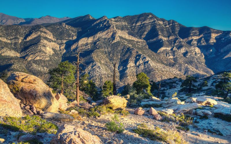 La Madre mountain wilderness, White Rock to Willow Spring Loop, Red Rock Canyon