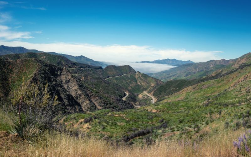 Los Padres National Forest, California