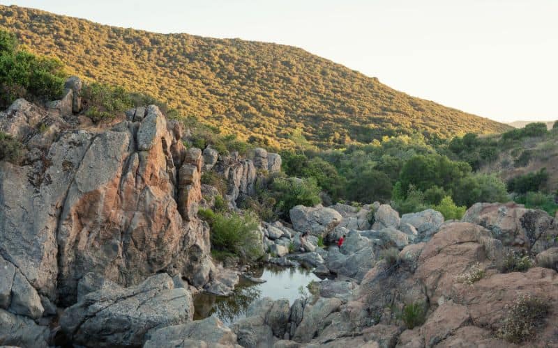 Los Peñasquitos Canyon Trail, San Diego