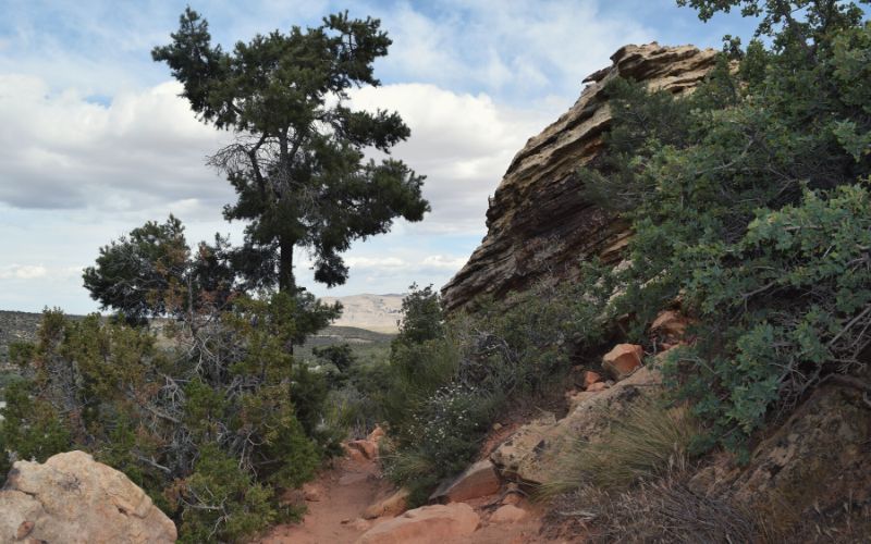 Lost Creek Canyon, Red Rock Canyon