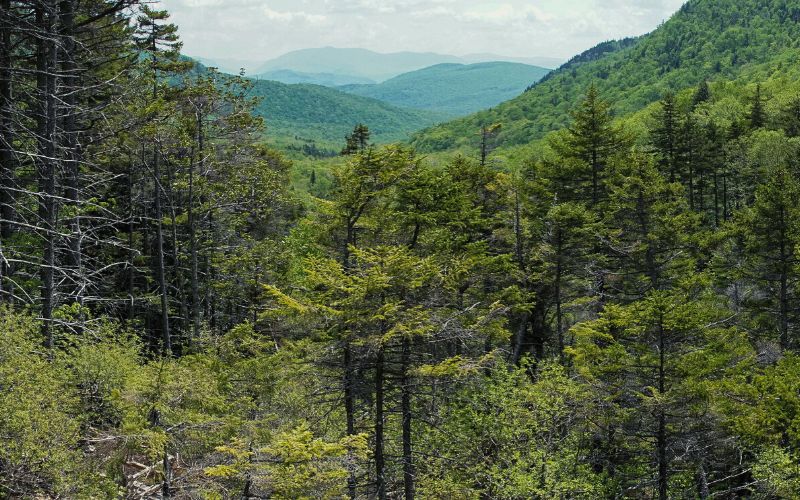 Lost River Gorge and Boulder Caves, NH