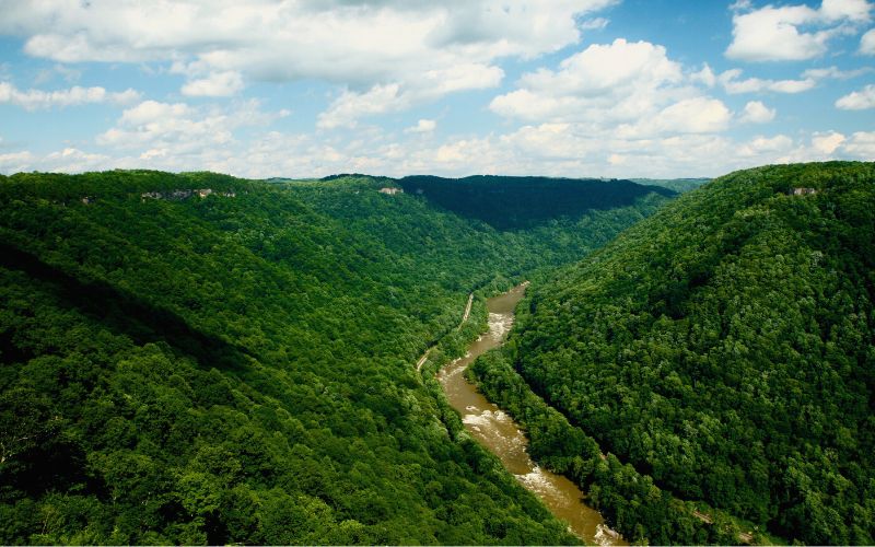 New River from Diamond Point, Endless Wall Trail, New River Gorge National Park, West Virginia