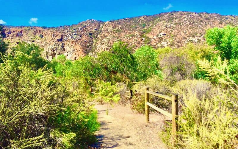 Oak Canyon to Grasslands Trail, Mission Trails Regional Park