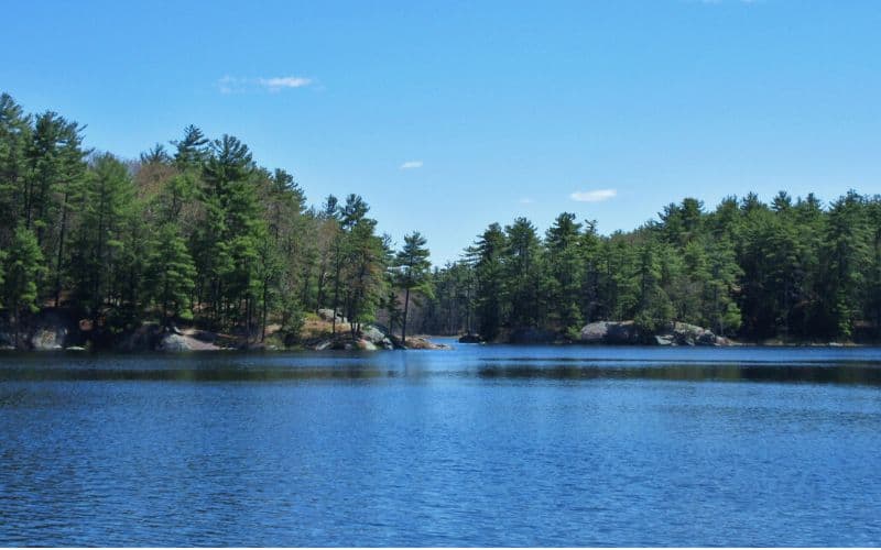 Pawtuckaway State Park, NH