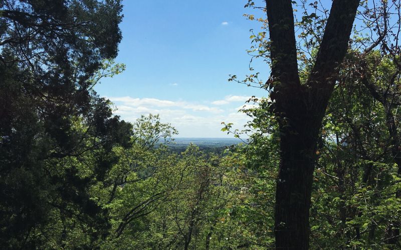 Rainbow Mountain Loop Trail, Rainbow Mountain Preserve, Alabama