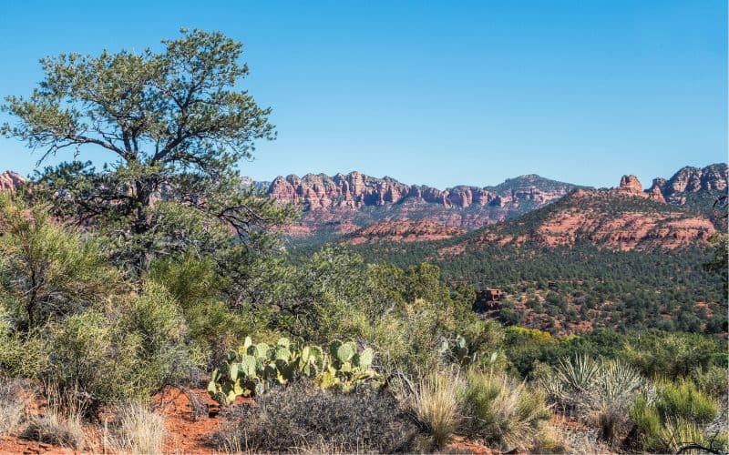 Red Rock State Park, Arizona