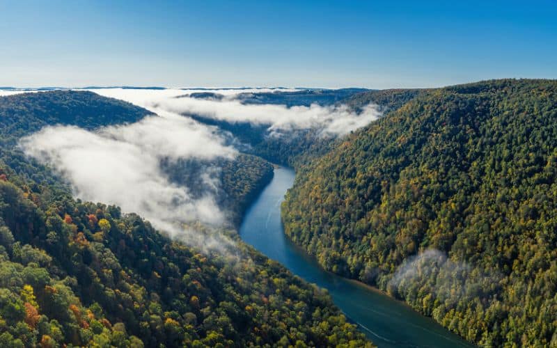 Roadside Trail, Coopers Rock State Forest, West Virginia