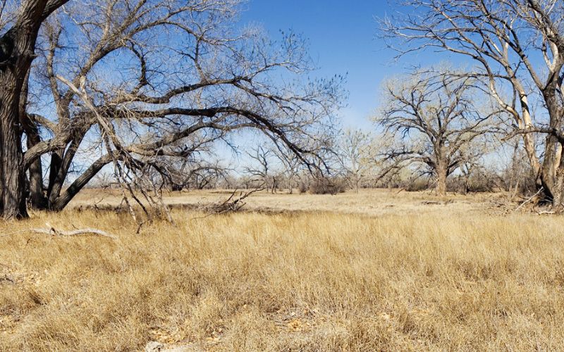 Santa Fe Trail, Cimarron National Grassland, Kansas