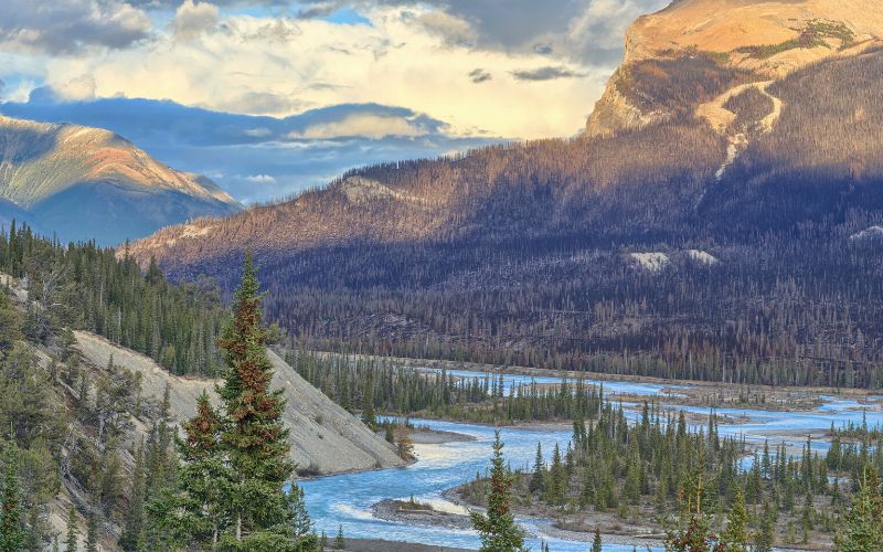 Saskatchewan River, Alberta, Canada