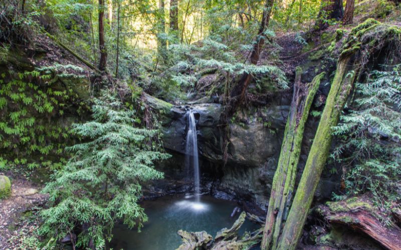 Sempervirens Falls,, Big Basin Redwoods State Park, California