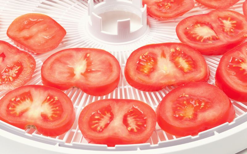 Sliced tomatoes sitting in a dehydrator