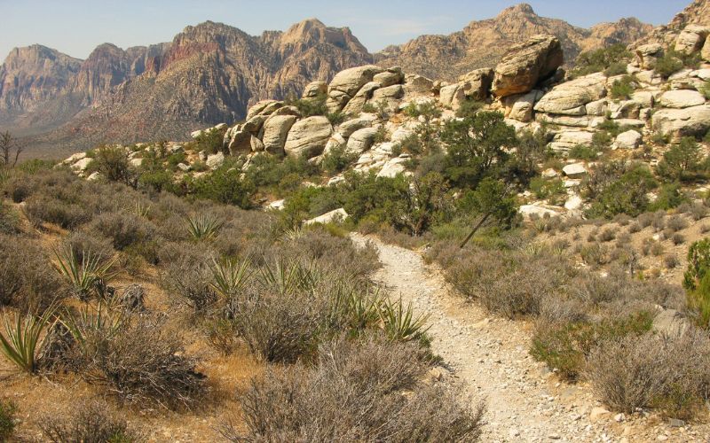 Spring Mountain Youth Camp Trail, Red Rock Canyon