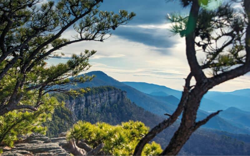 View from Chimney Top, North Fork Mountain Trail, West Virginia