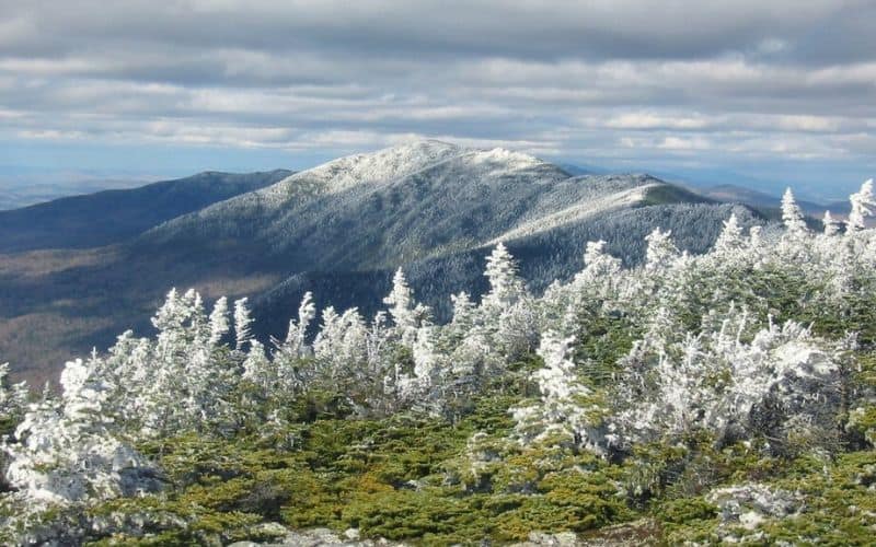 View north from Mt. Abraham via Long Trail, Vermont