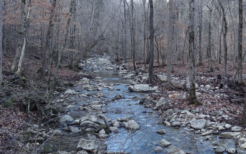 Walls of Jericho Trail, Alabama