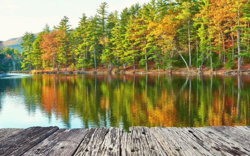 White Lake State Park, New Hampshire