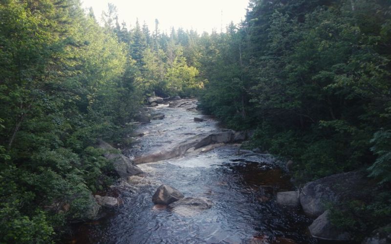 Zealand River, New Hampshire