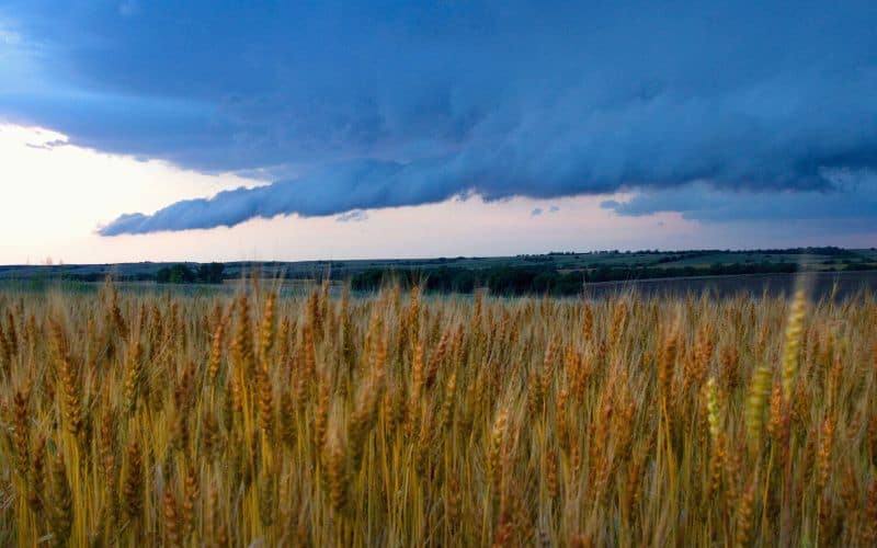 Storm over Kansas fields