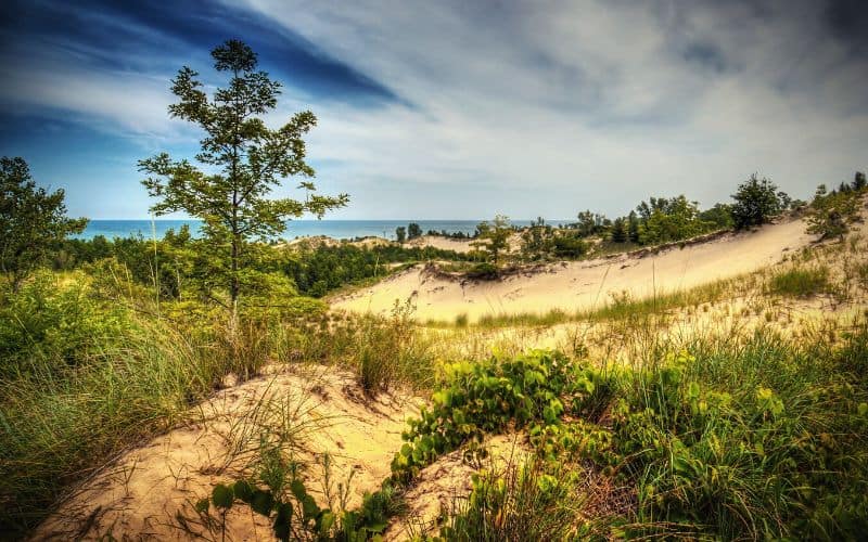 Indiana Dunes State Park