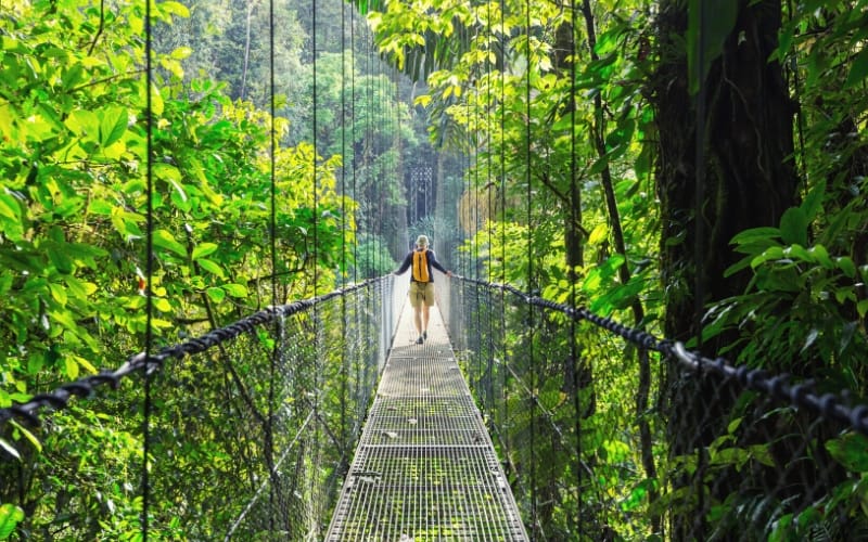 passing by the bridge